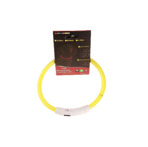 Light-Up Pet Collar for Safe, Happy Night Walks