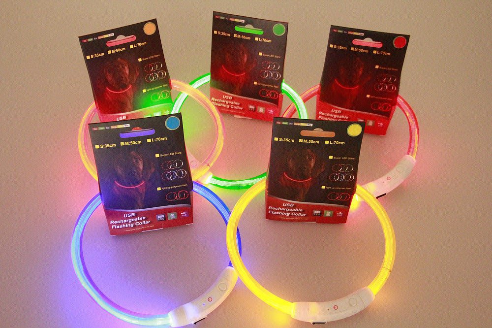 Light-Up Pet Collar for Safe, Happy Night Walks