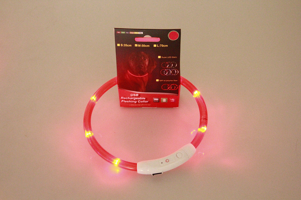 Light-Up Pet Collar for Safe, Happy Night Walks