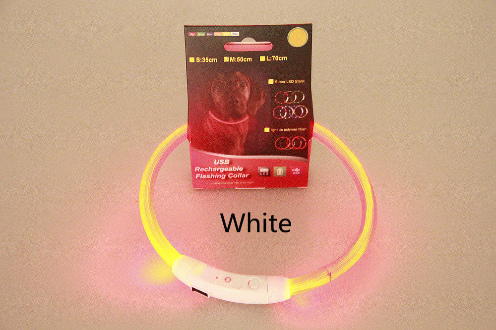 Light-Up Pet Collar for Safe, Happy Night Walks