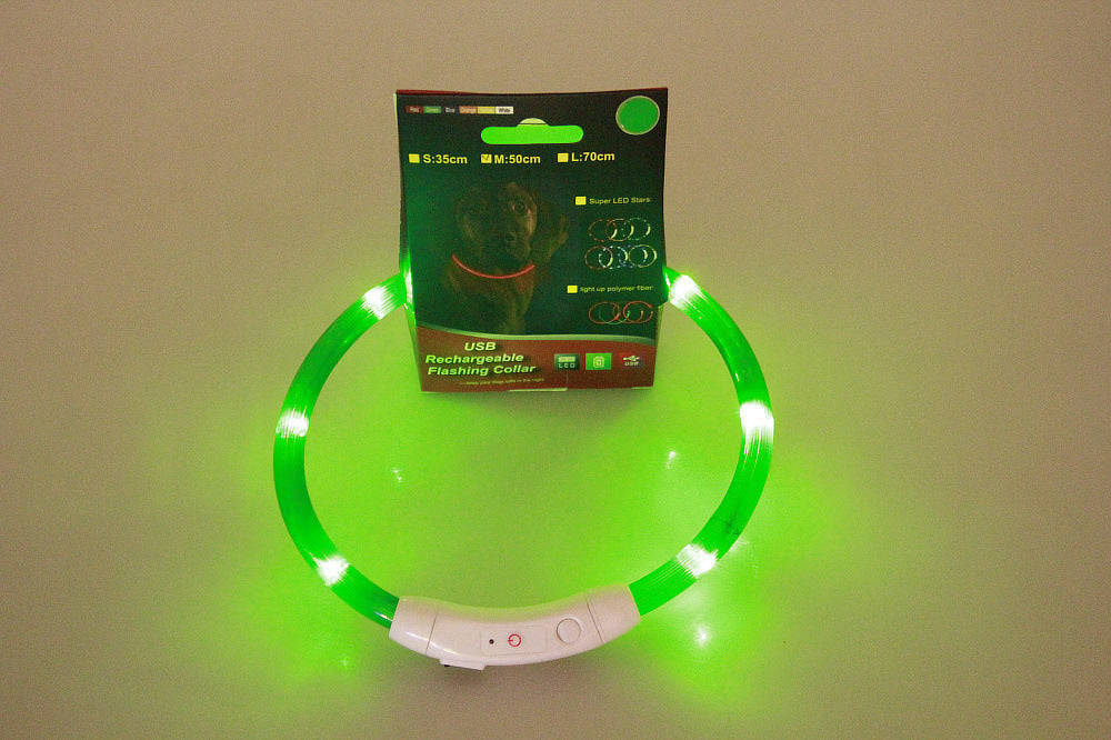 Light-Up Pet Collar for Safe, Happy Night Walks