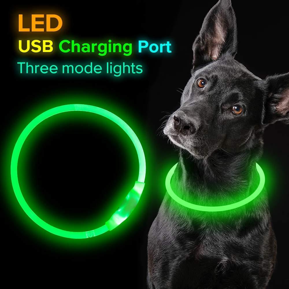 Light-Up Pet Collar for Safe, Happy Night Walks