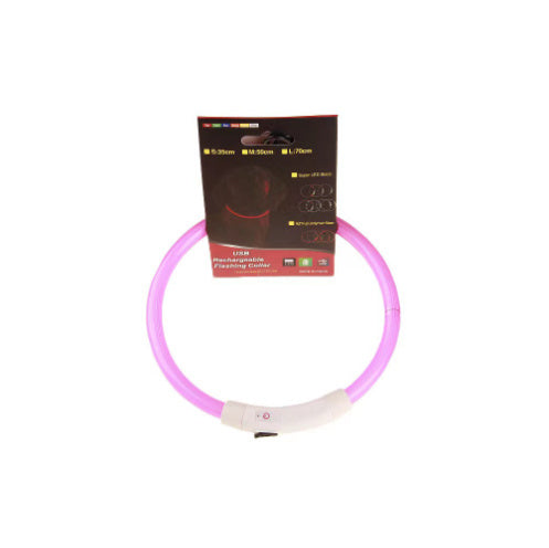 Light-Up Pet Collar for Safe, Happy Night Walks