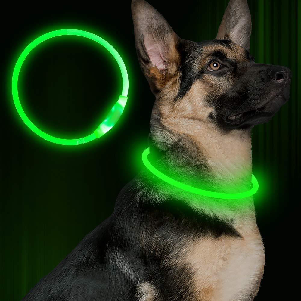 Light-Up Pet Collar for Safe, Happy Night Walks