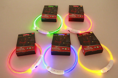 Light-Up Pet Collar for Safe, Happy Night Walks