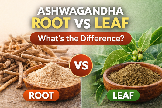 Ashwagandha root vs leaf comparison showing dried roots and powder on one side and green leaves with powder on the other