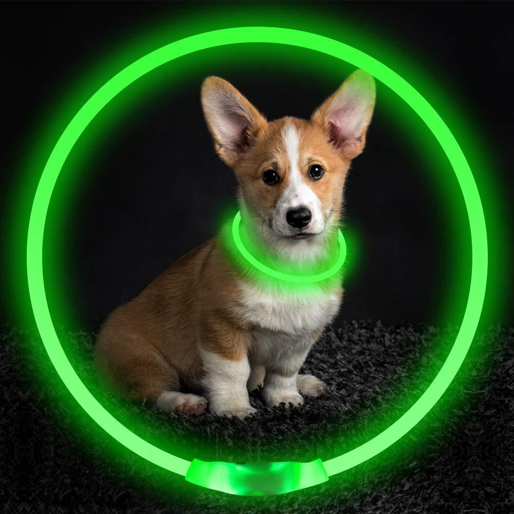 Pet Wellness